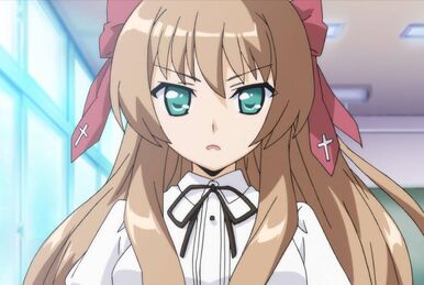 Light Novel Volume 12 | Mayoi Neko Overrun! Wiki | Fandom