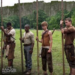 Gally, The Maze Runner Wiki