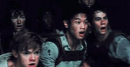Billy and the other Gladers looking at the crushed Griever.