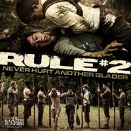 Rule #2 - Never hurt another glader