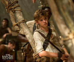 Newt, The Maze Runner Wiki