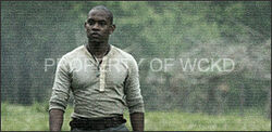 Alby, Wikia The Maze Runner