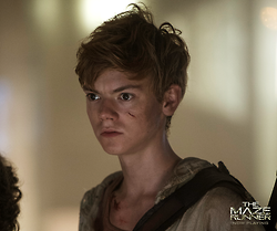 Newt, The Maze Runner Wiki