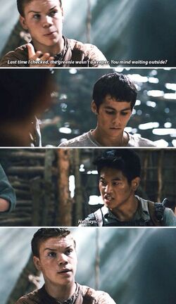 Gally, Wikia The Maze Runner