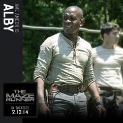 Alby, Wikia The Maze Runner