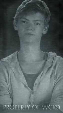 NEWT, Wikia The Maze Runner