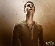 Mazerunner thomas