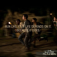 Mazerunner gladersrunners