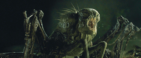 the maze runner movie grievers