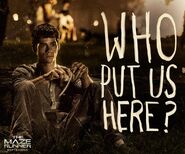 Mazerunner thomaspromo4