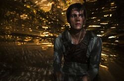 Thomas, The Maze Runner Wiki