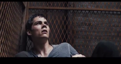 Fact File: Thomas (from The Maze Runner) (I just realised he doesn