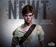 Glader Newt