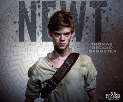 Newt, The Maze Runner Wiki