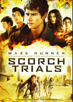 The Maze, The Maze Runner Wiki