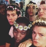 Dylan O'Brien and some of the actors from The Maze Runner