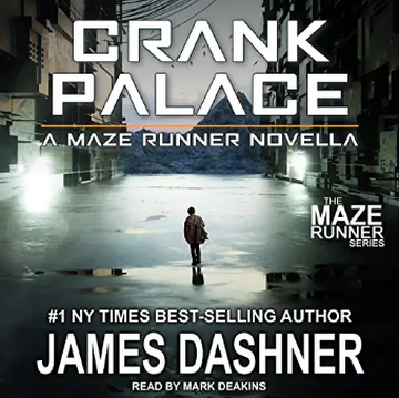 Maze (novel) - Wikipedia