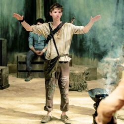 NEWT, Wikia The Maze Runner