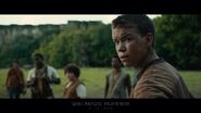 Mazerunner gallystill