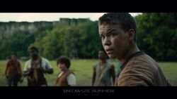 Gally, Wikia The Maze Runner