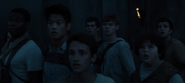 Jack, Thomas, Teresa, Newt, Minho, Frypan, Chuck, and Carl looking at the doors opening.