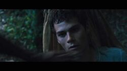 Fact File: Thomas (from The Maze Runner) (I just realised he doesn