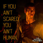 Mazerunner ifyourenotscaredquote