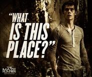 Mazerunner thomas3