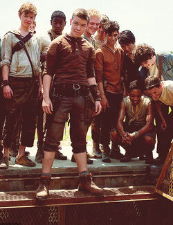 Gally, The Maze Runner Wiki