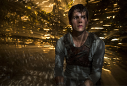 Mazerunner dylanobrien