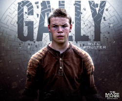 Gally, Wikia The Maze Runner