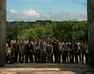 Maze-runner-movie-glade-full