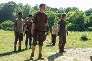 Gally and gladers