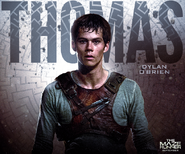 Dylan O'Brien - (Thomas)