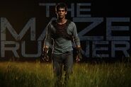 Dylan mazerunner thomas