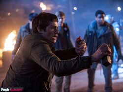 Maze Runner: The Scorch Trials, The Maze Runner Wiki