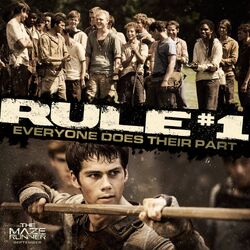 The Maze Runner (2014) directed by Wes Ball • Reviews, film + cast •  Letterboxd