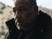 PicsArt 1441643840364.jpg (83 Кб) PicsArt 1441643840364