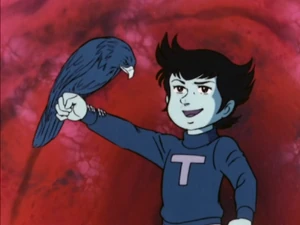 Tetsuya with his pet hawk