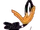 Daffy Duck