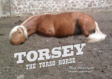 Torsey