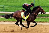 Orb-kentucky-derby-winner-2013.jpg (30 KB) Orb