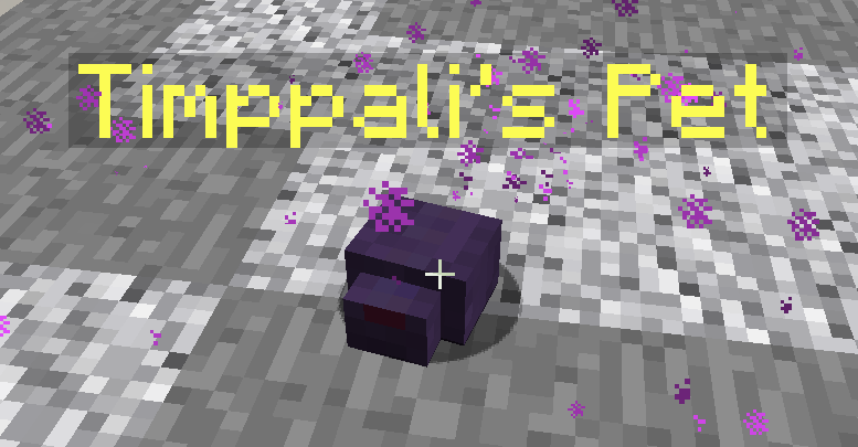 My friend spawned an endermite in my base so I made it my pet. : r
