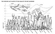 Alliance-species-size-chart-for-web1