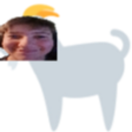 Fensti