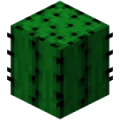 Cactus.png