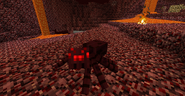 Nether spider