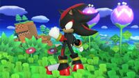 Shadow in SSBU