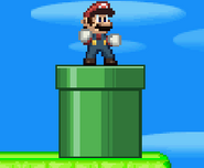 Mario standing on top of a Warp Pipe.