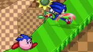 Sonic and Kirby running on Green Hill Zone.